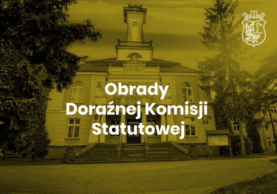 doraźna Komisja Statutowa